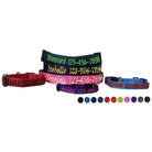 Nylon Flat Collar Dog