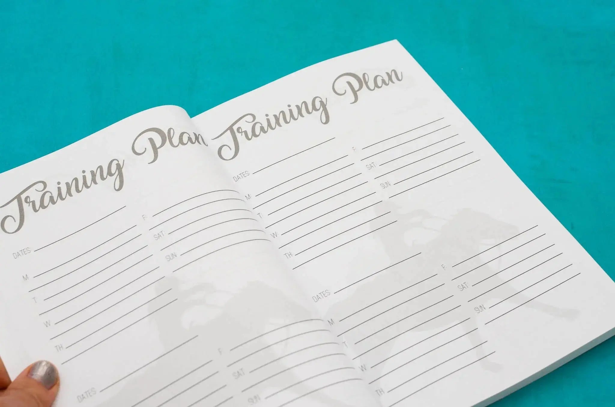 The Barrel Racer's Journal Horse
