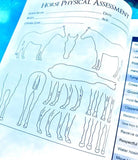 The Horse Project Book