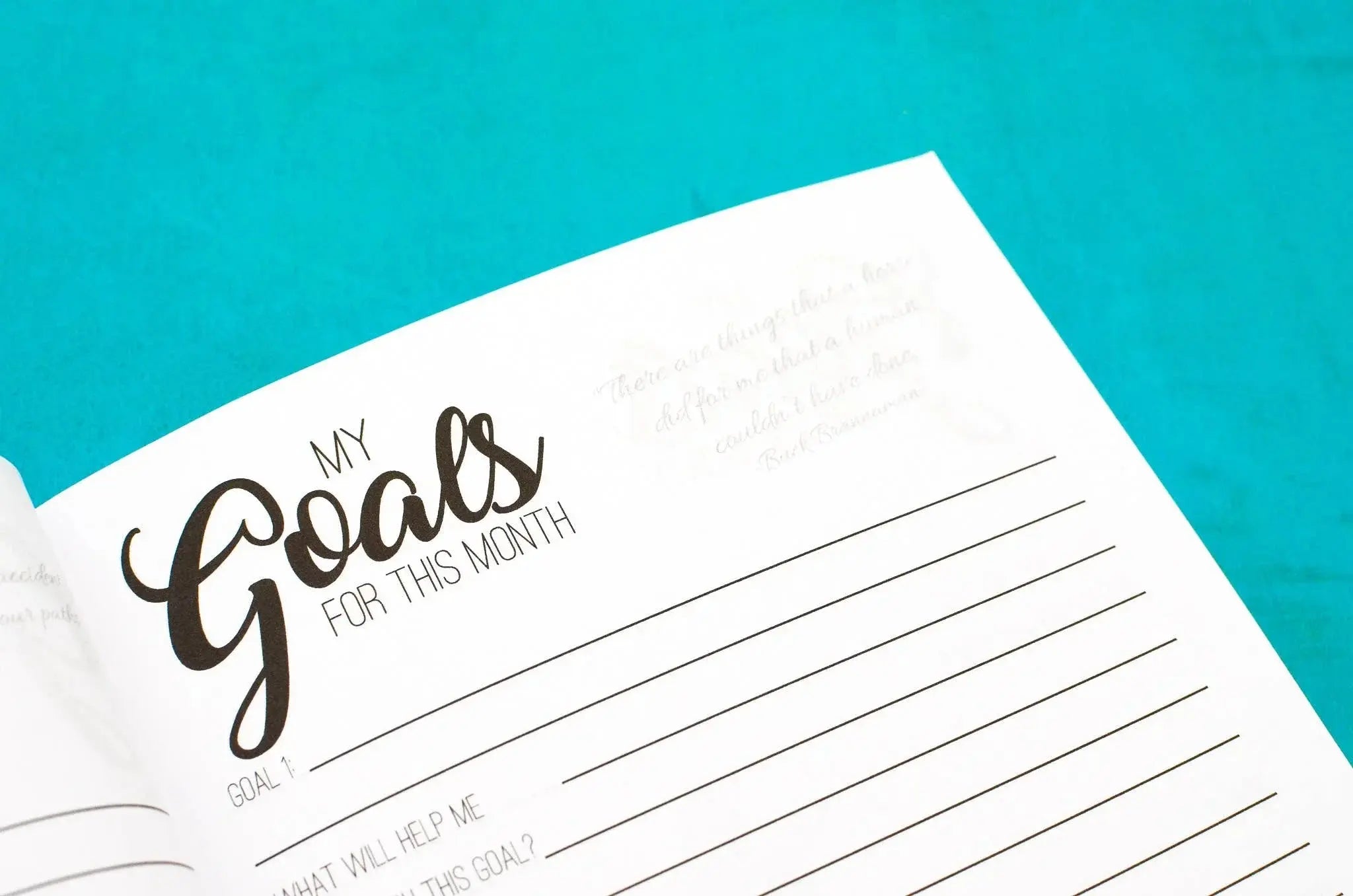 The Young Rider's Journal