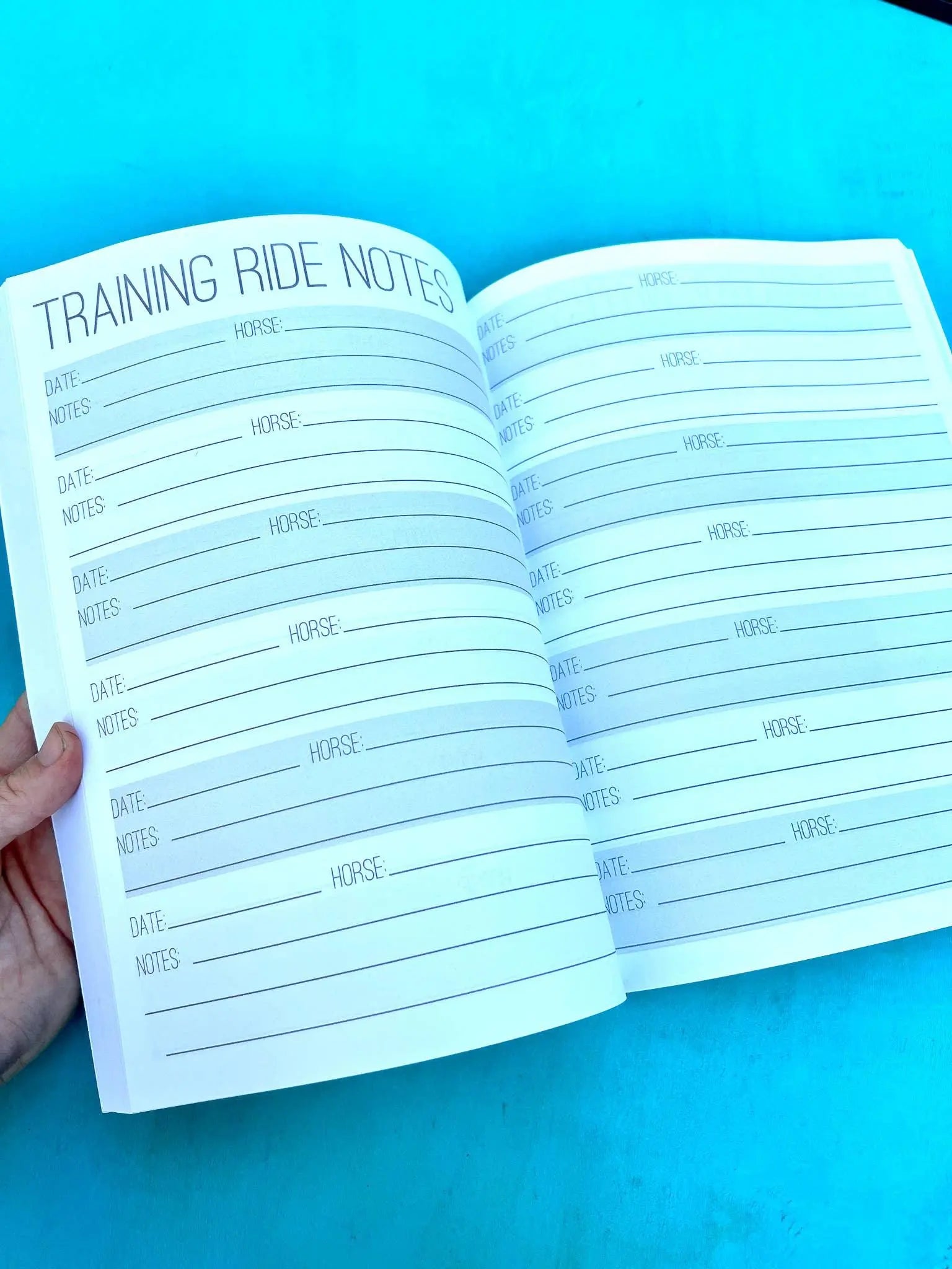 The Horse Trainer's Log Book (The BIG Version)