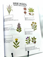 Horse Workbook Vol. II inside