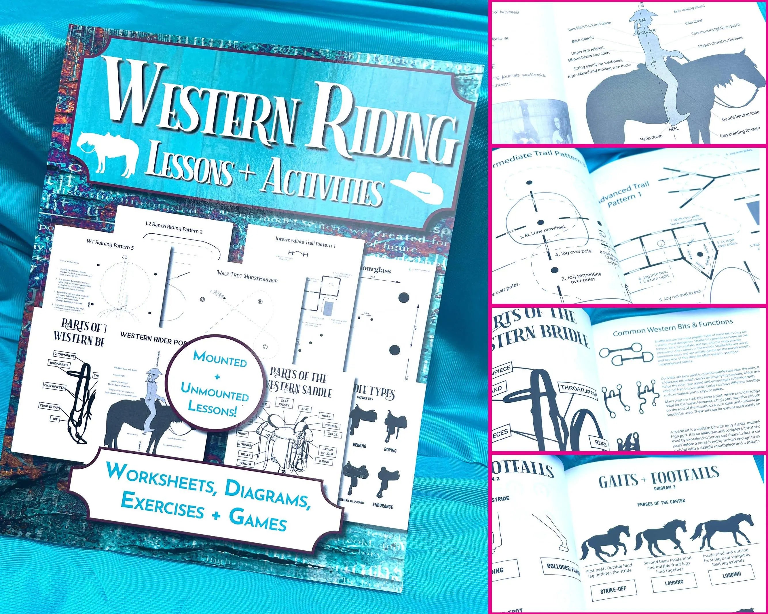 Western Riding Lessons & Activities