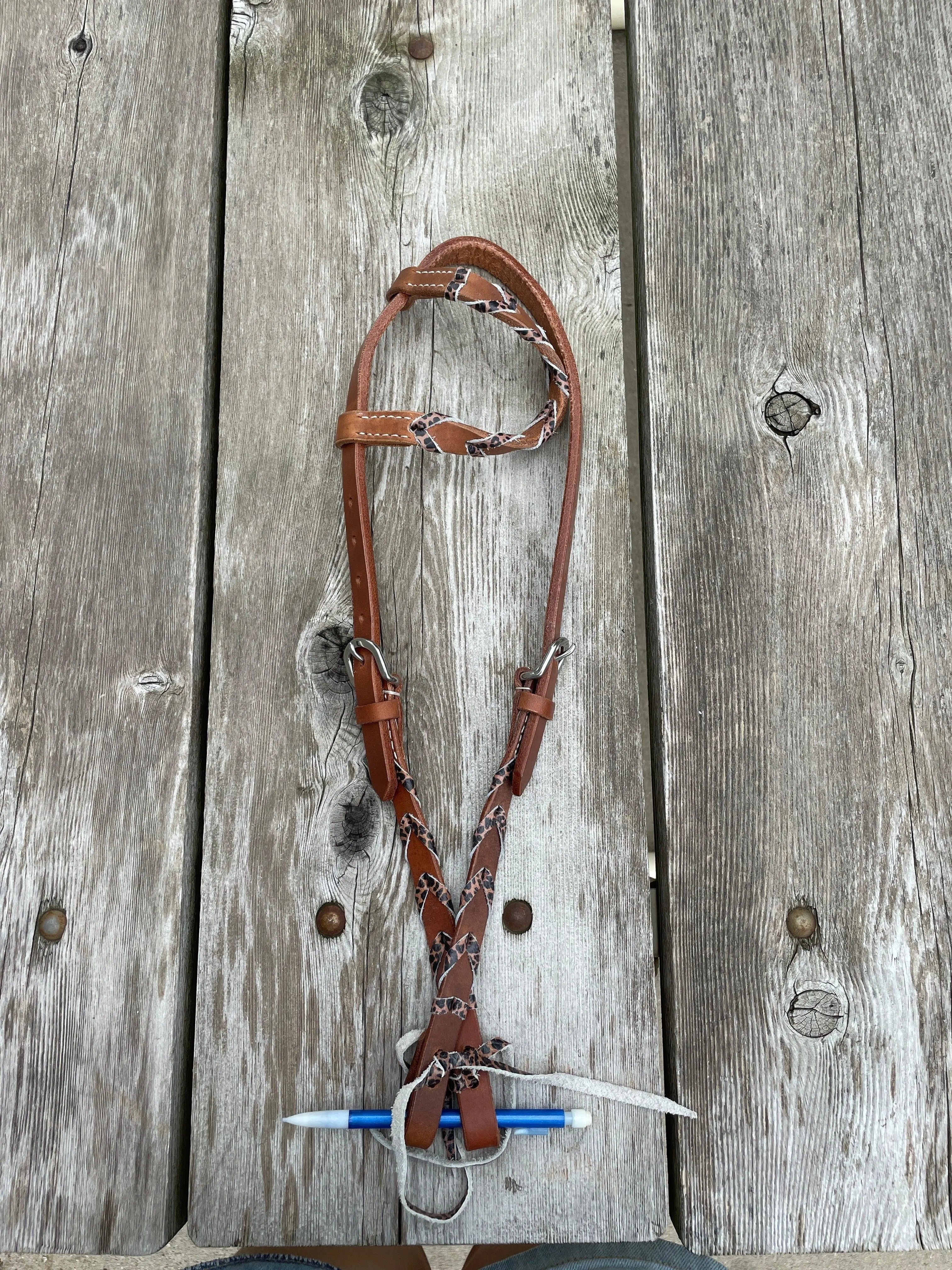 Brown leather Argentina horse halter with cheetah print braided pattern