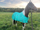 Turn and Burn Pro Turquoise