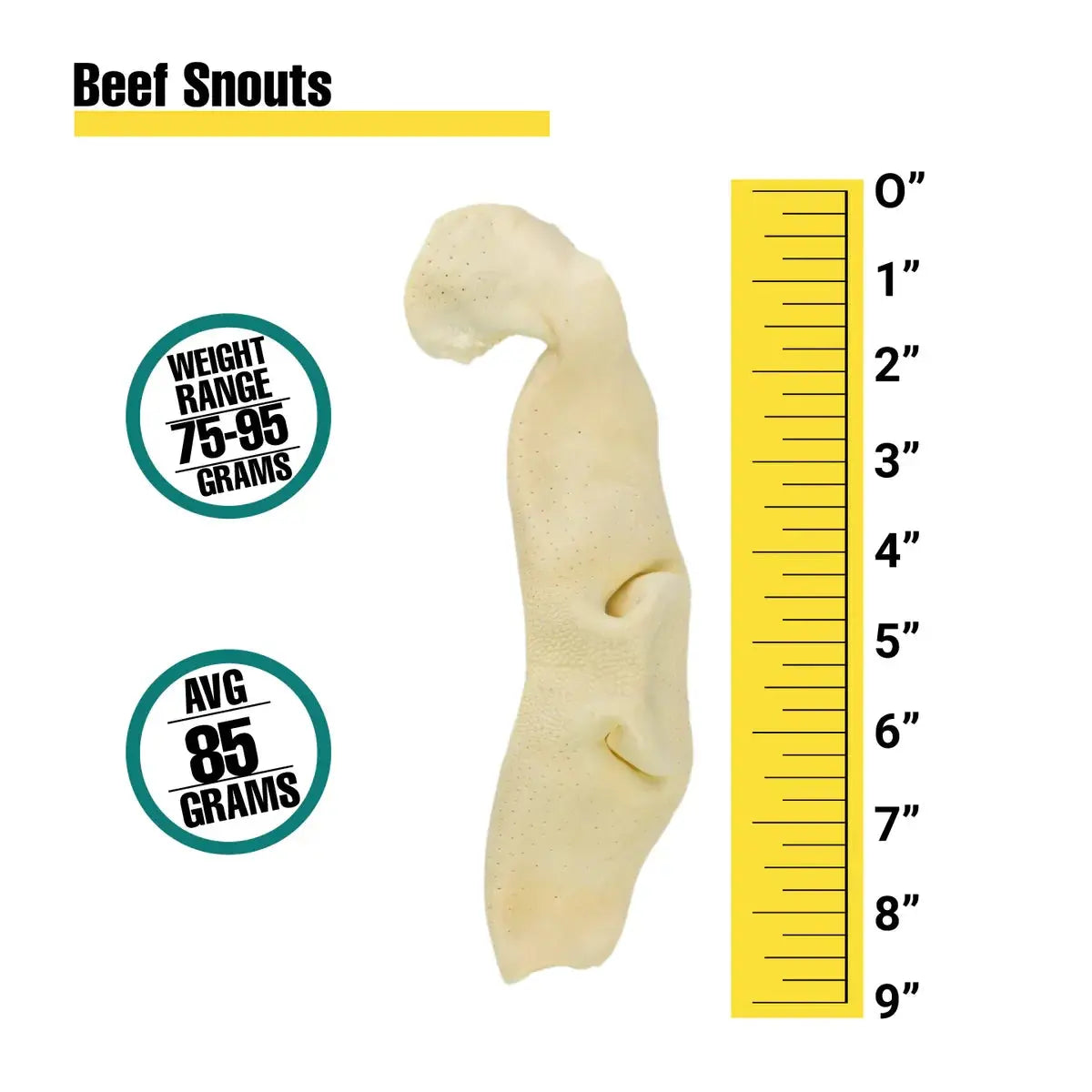 Pale beige beef snout, 7 inches long, 85 grams, Beef Snouts product