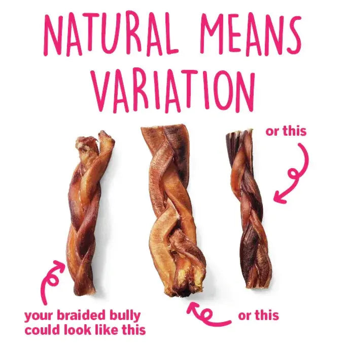 6" STANDARD BRAIDED BULLY STICK - ODOR FREE