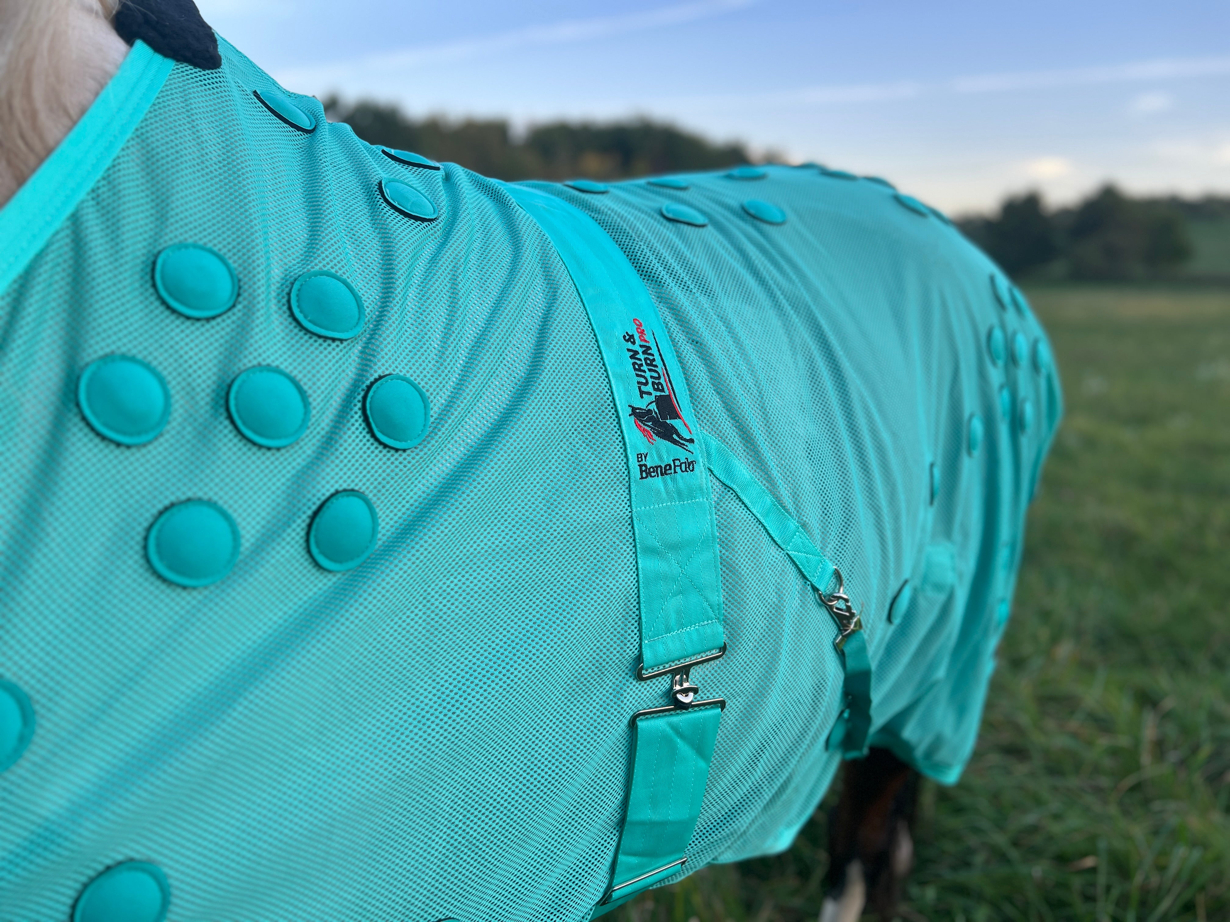 Turn and Burn Pro Turquoise