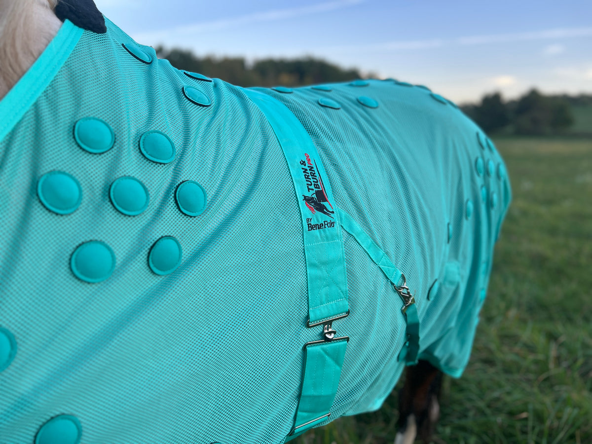 Turn and Burn Pro Turquoise