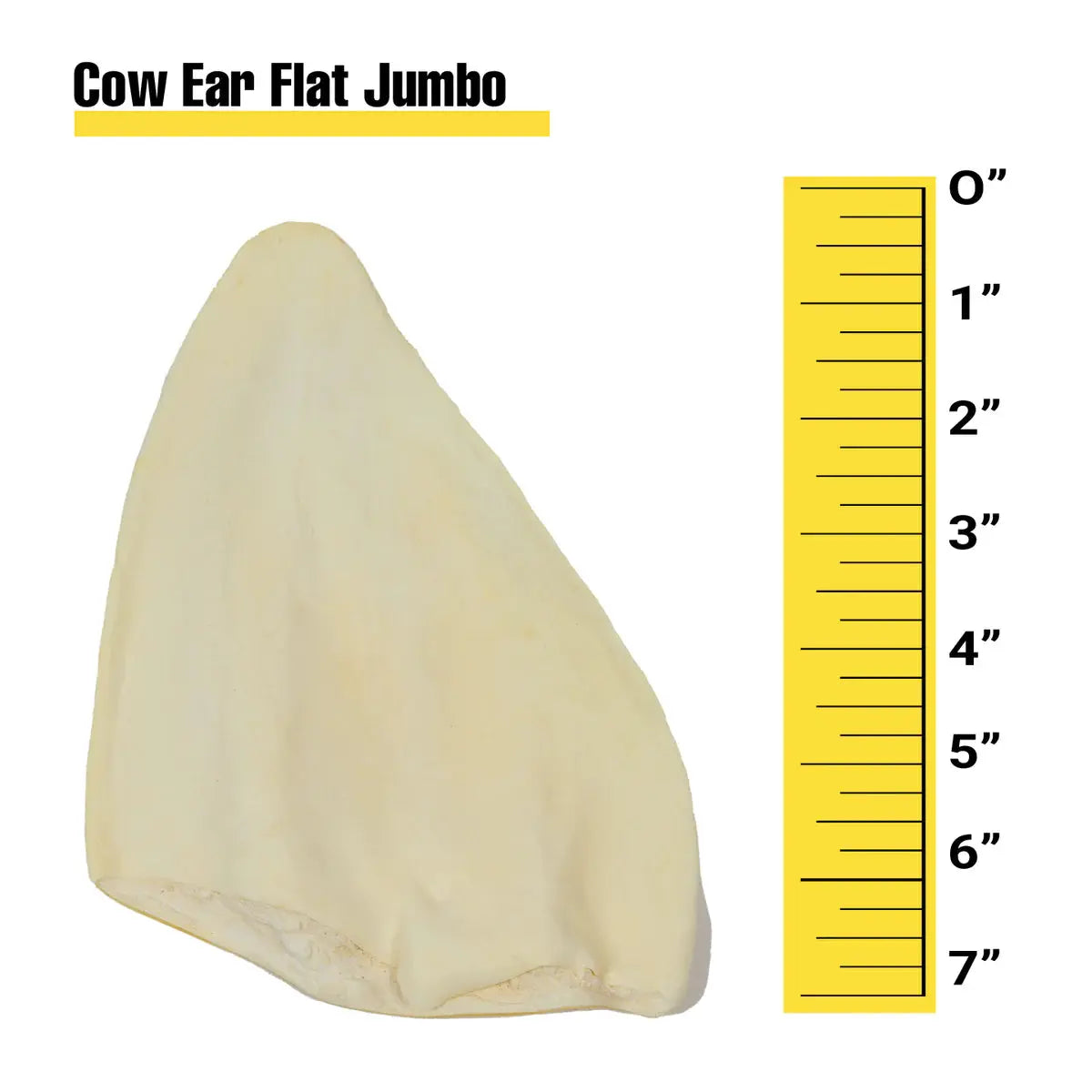 Cow Ear Flat Jumbo measure