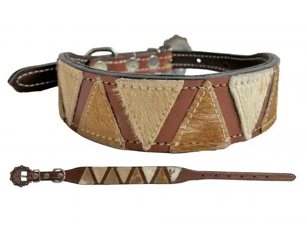 Hair on Cowhide Medium oil braided leather dog collar Dog