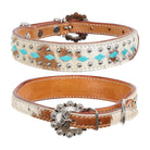 Rawhide Royale cowhide dog collar with turquoise rhinestones, silver buckle