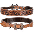 Brandin' Pen Leather Dog Collar Dog