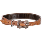 Brandin' Pen Leather Dog Collar Dog