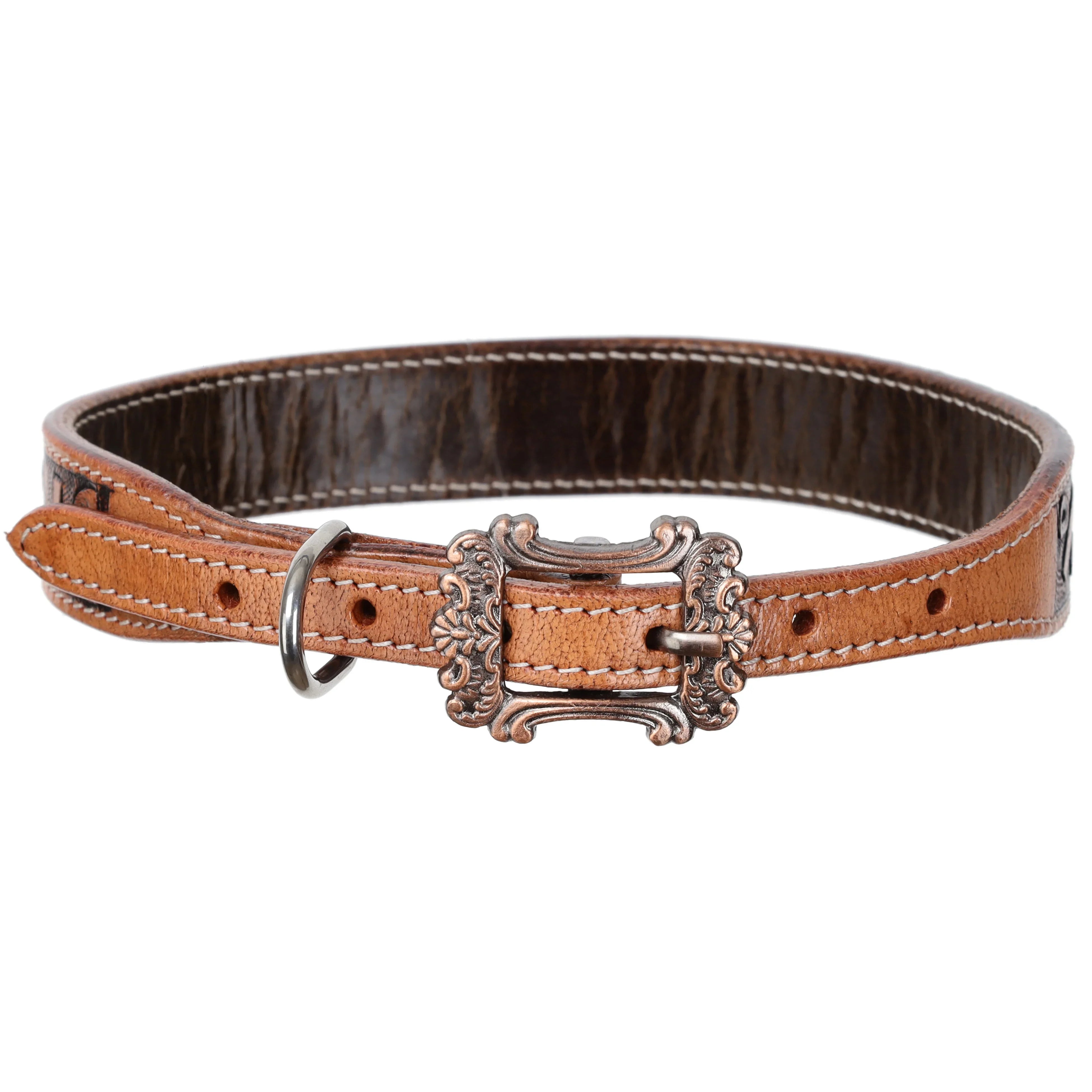 Brandin' Pen Leather Dog Collar Dog