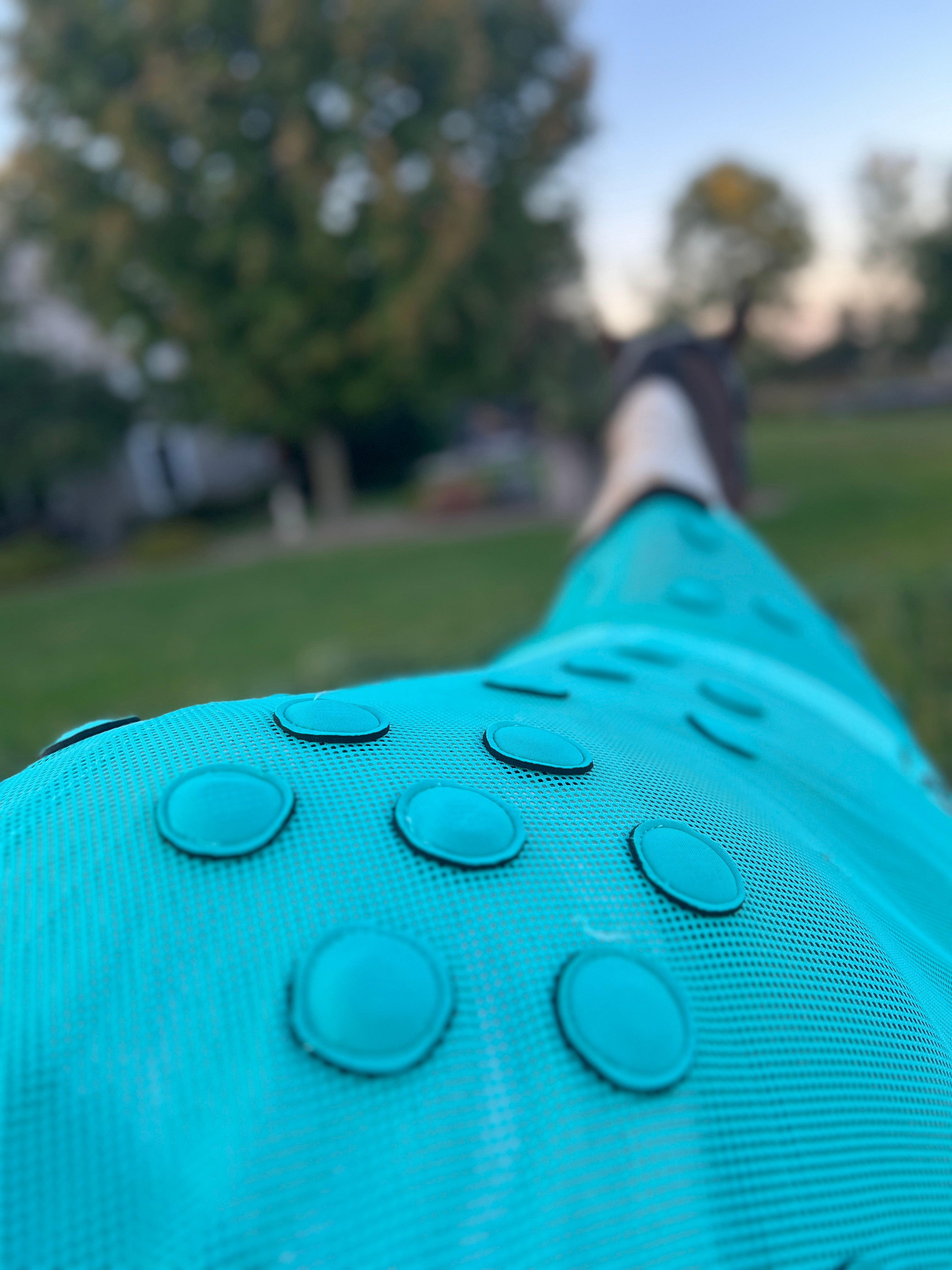 Turn and Burn Pro Turquoise