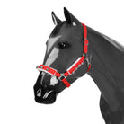 Santa Bells Halter Attachment Kit