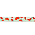 Max and Molly Watermelon Harness Size Large