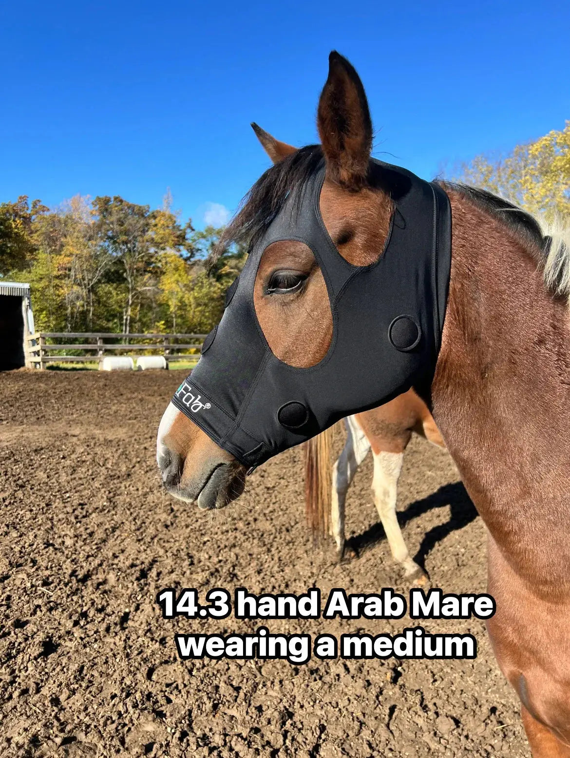 BeneFab Rejuvenate SmartMask