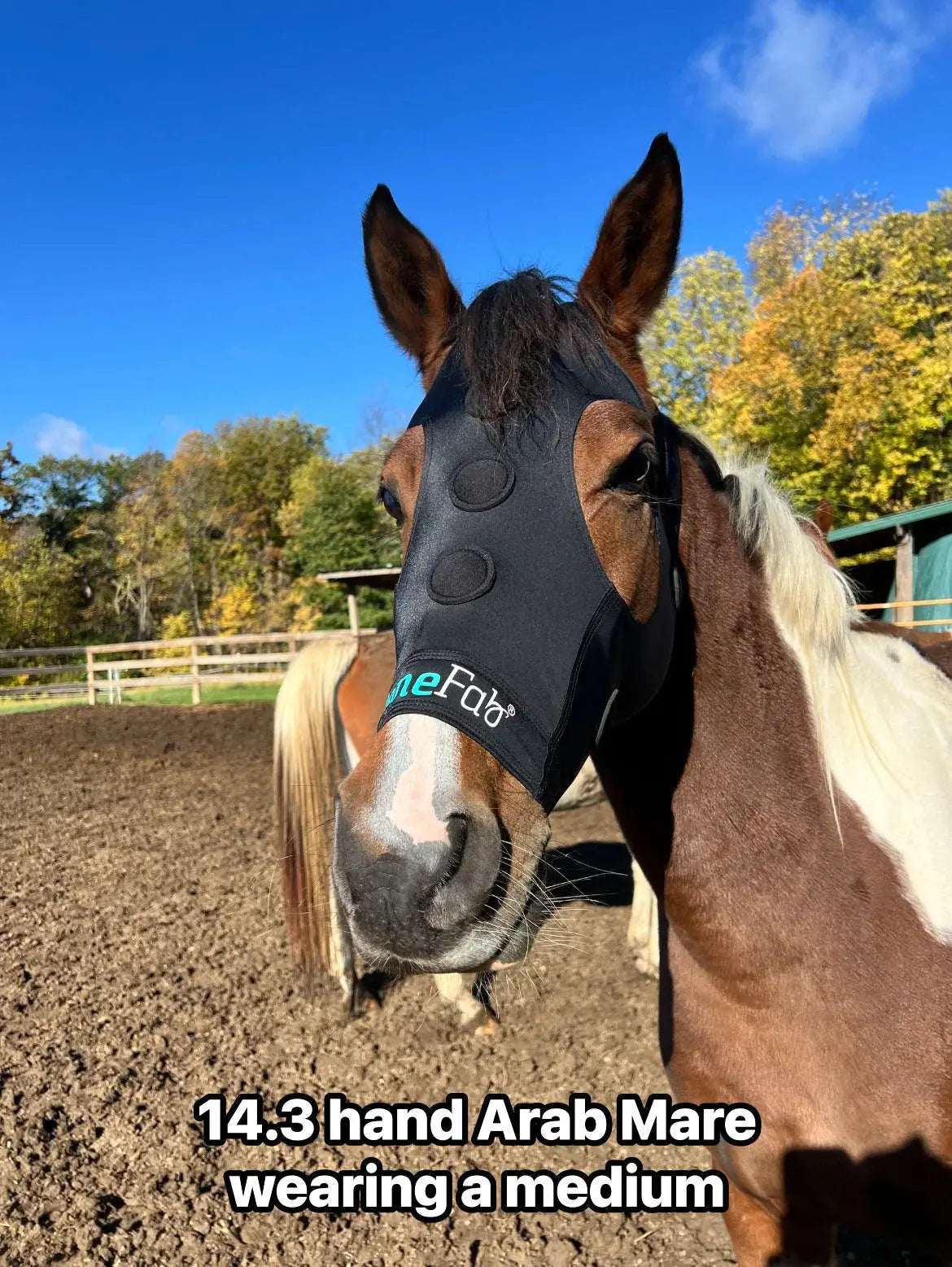 BeneFab Rejuvenate SmartMask