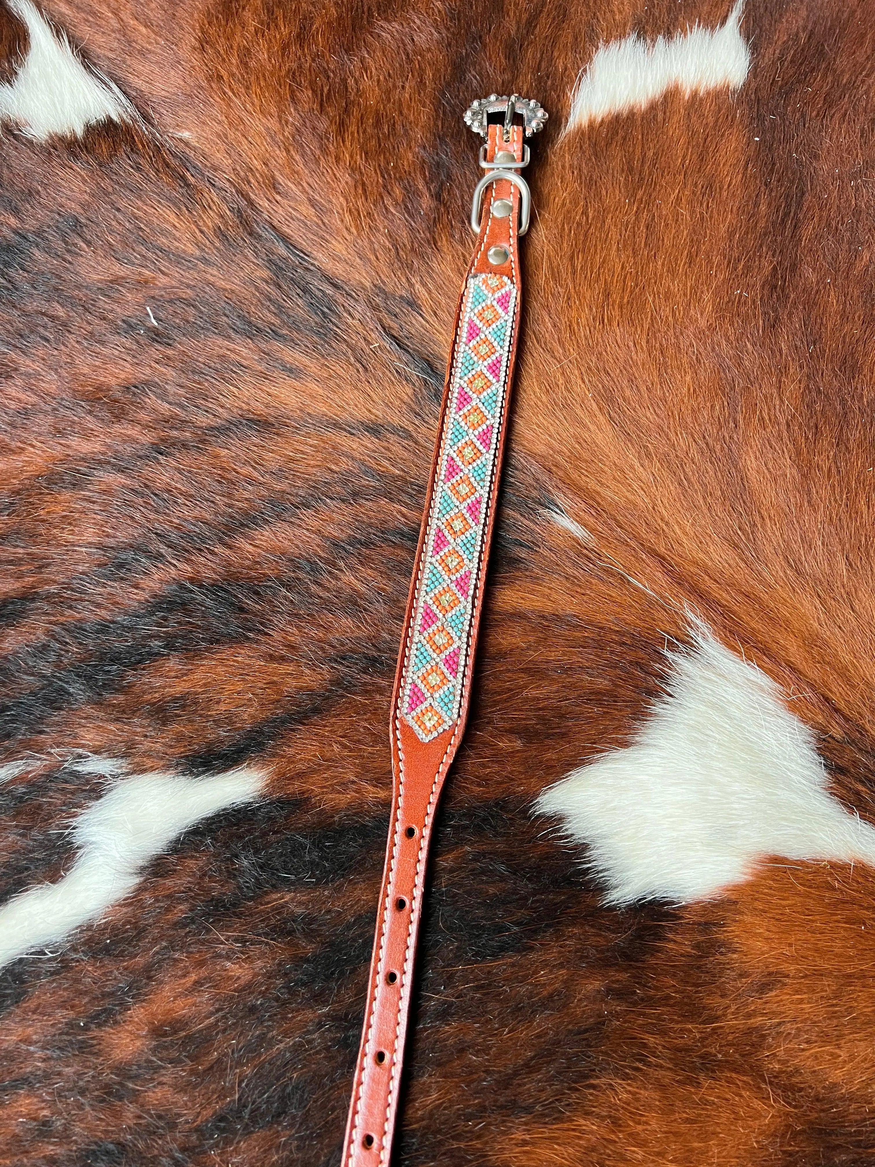 Crystal Rhinestone Collar -Pink & Blue Dog