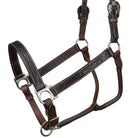 Midnight Oak Argentina Cow Leather Halter Horse close up