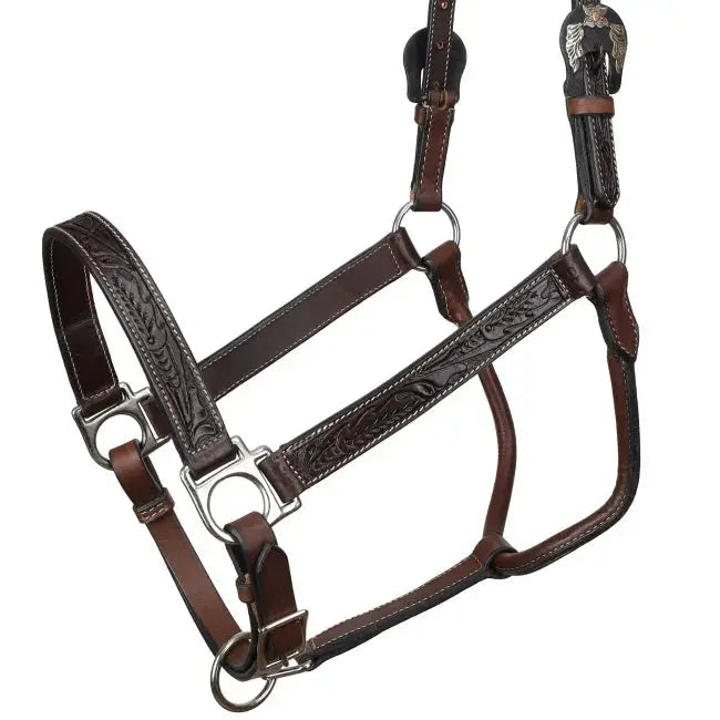 Midnight Oak Argentina Cow Leather Halter Horse close up