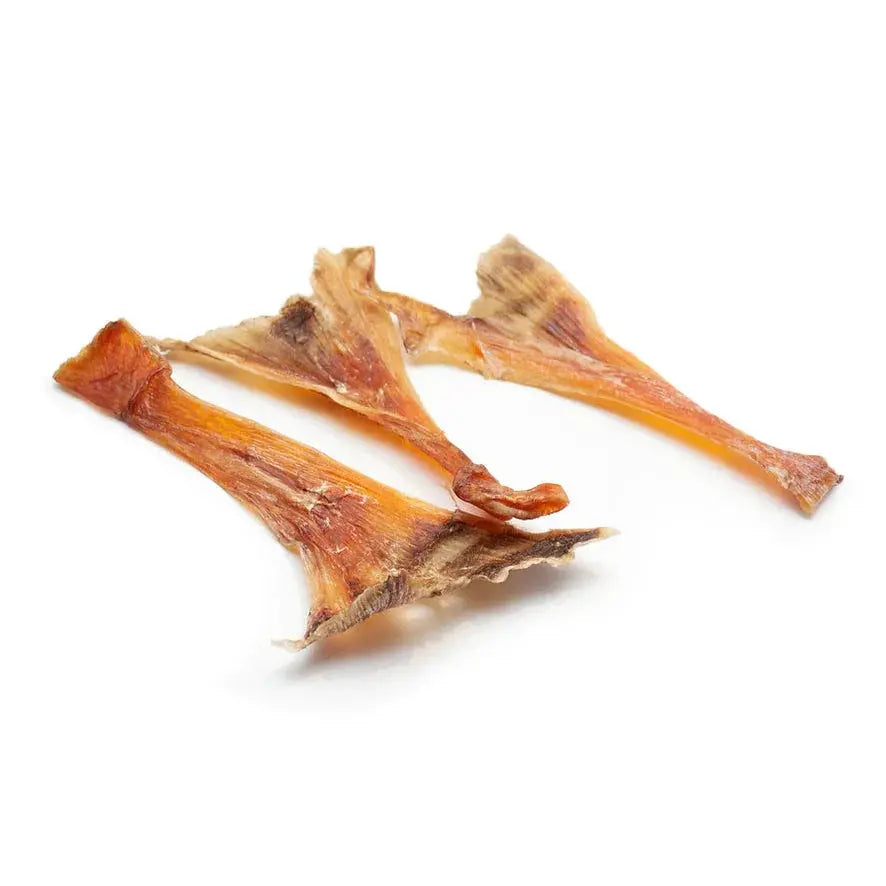OSTRICH LONG TENDONS - 4 OZ