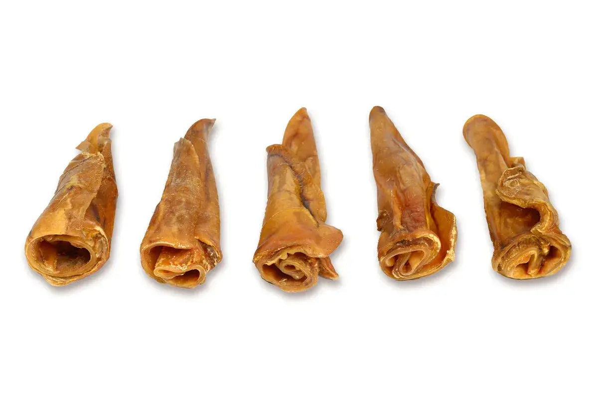 Pig Ear Cannoli Dog