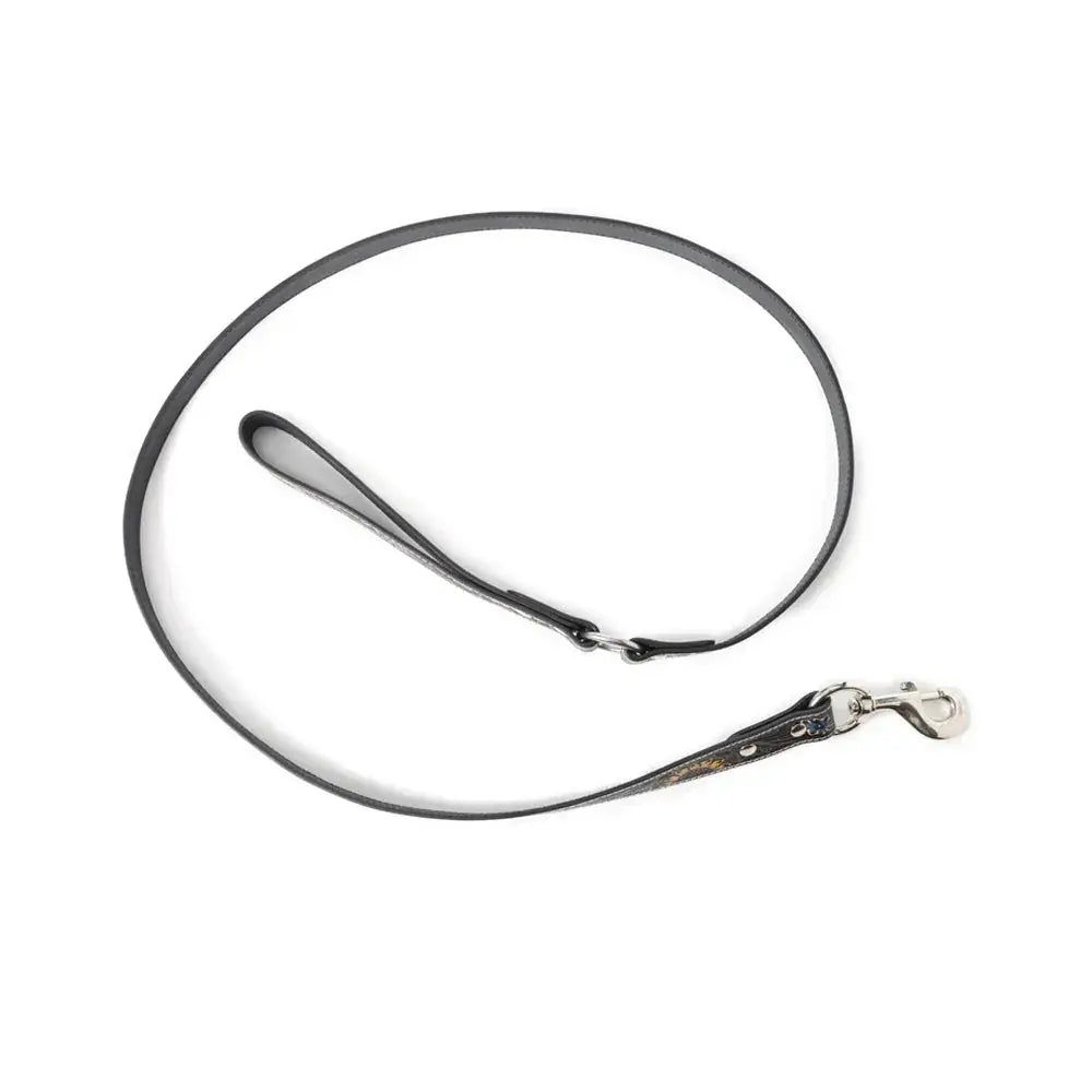 Scenic Sunflower Leash Dog