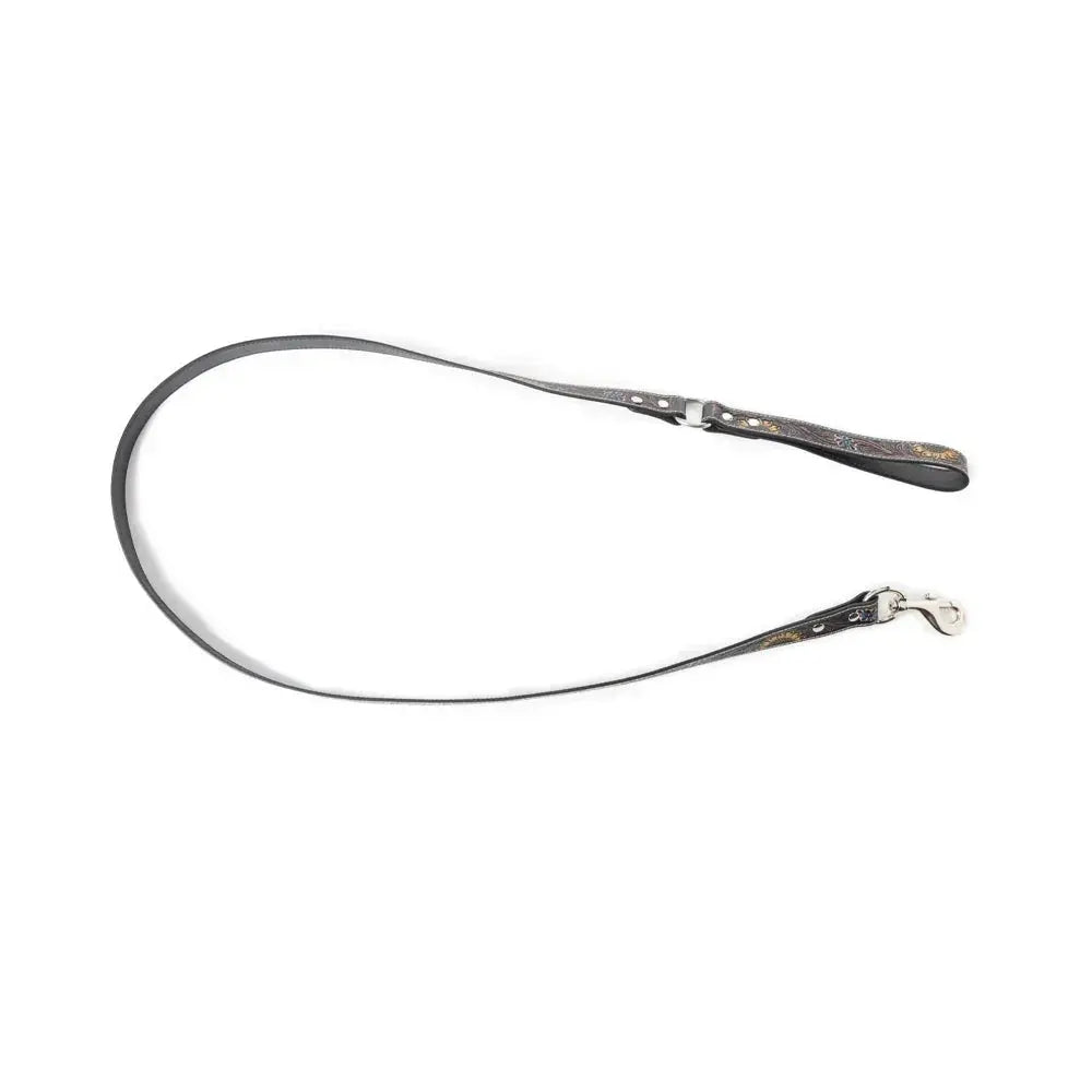 Scenic Sunflower Leash Dog