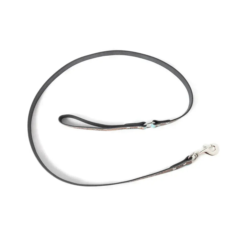 Teal Tooled Leash Dog