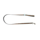 Teal Tooled Leash Dog