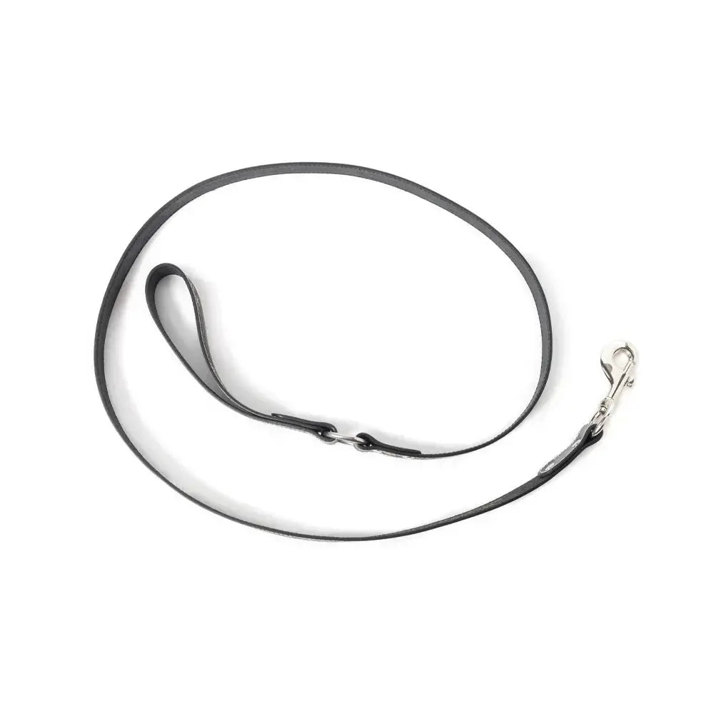 Luna Beam Dog Leash In Dark Brown Dog