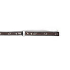 Luna Beam Dog Leash In Dark Brown Dog