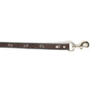 Luna Beam Dog Leash In Dark Brown Dog