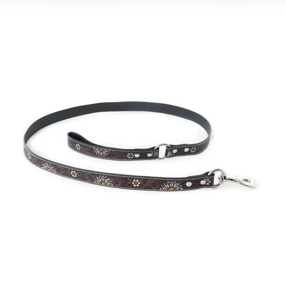 Clairmonte Dog Leash In Black Dog