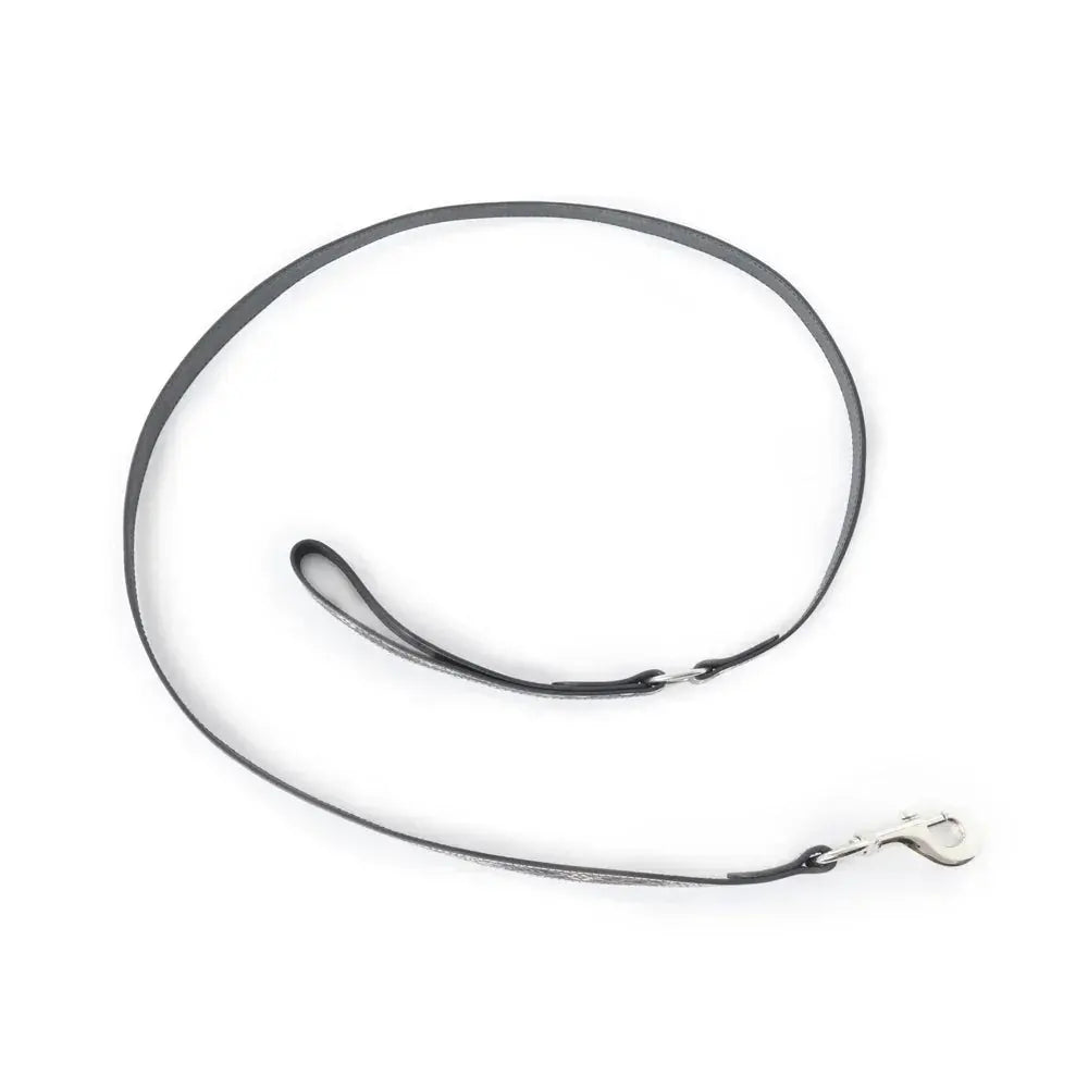 Clairmonte Dog Leash In Black Dog