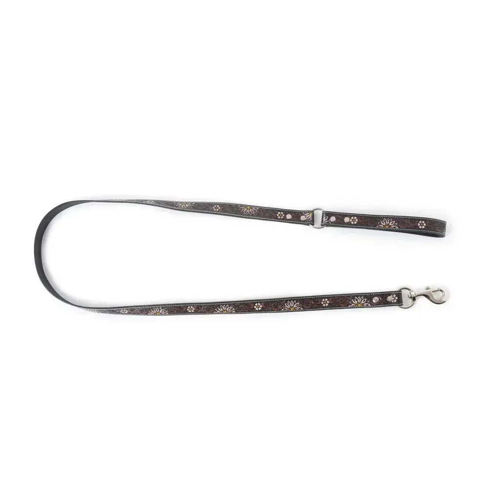 Clairmonte Dog Leash In Black Dog