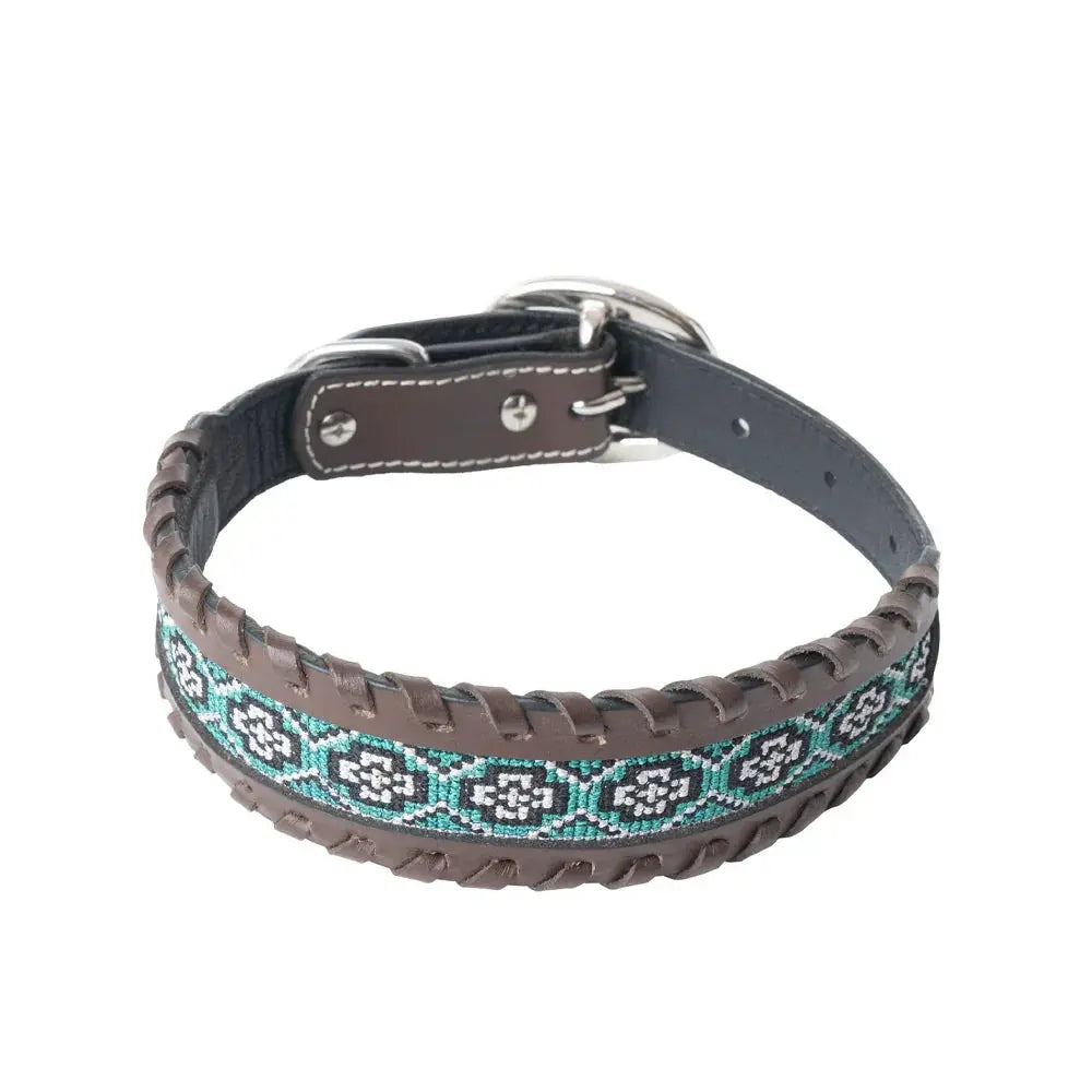 Freedom Trail Dog Collar In Black & Turquoise Dog