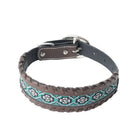 Freedom Trail Dog Collar In Black & Turquoise Dog