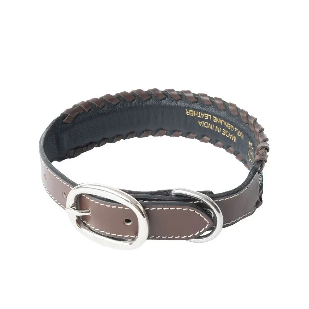Freedom Trail Dog Collar In Black & Turquoise Dog