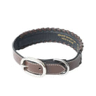 Freedom Trail Dog Collar In Black & Turquoise Dog