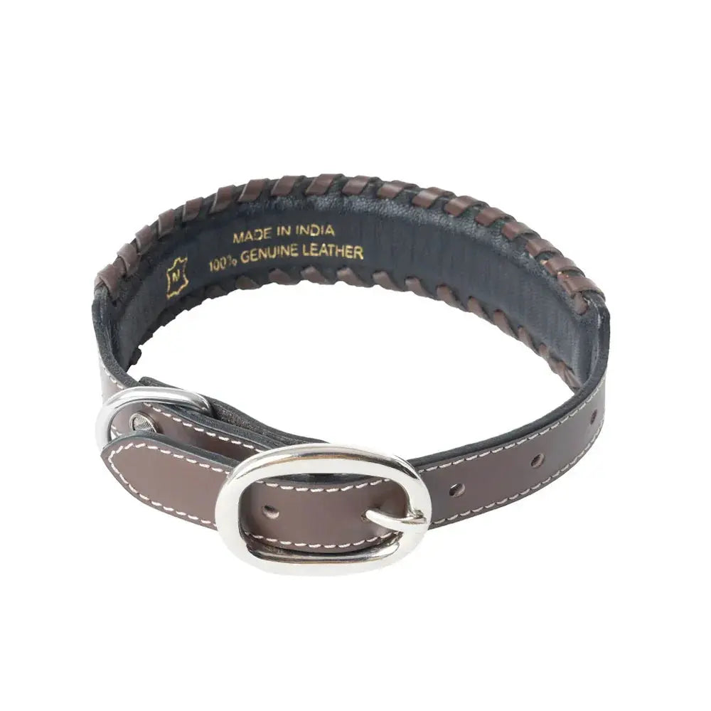 Freedom Trail Dog Collar In Black & Turquoise Dog