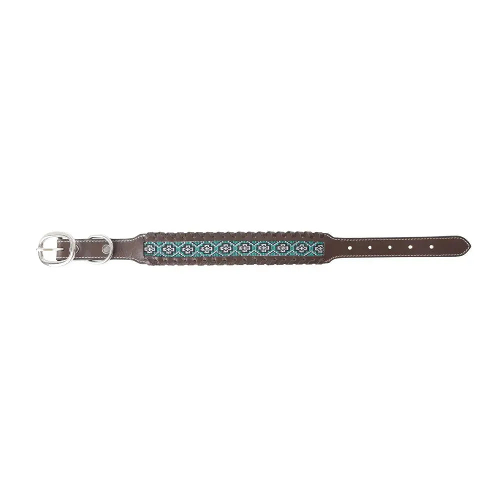 Freedom Trail Dog Collar In Black & Turquoise Dog