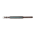 Freedom Trail Dog Collar In Black & Turquoise Dog