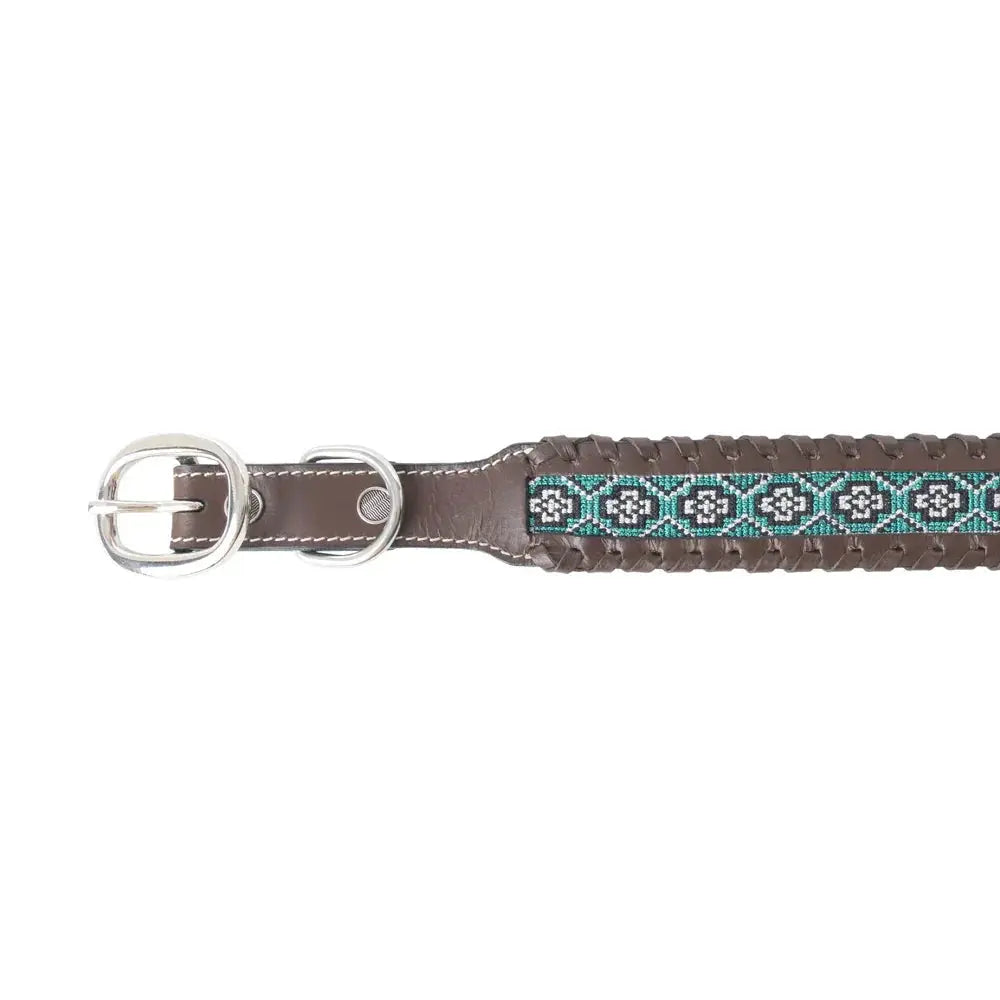 Freedom Trail Dog Collar In Black & Turquoise Dog