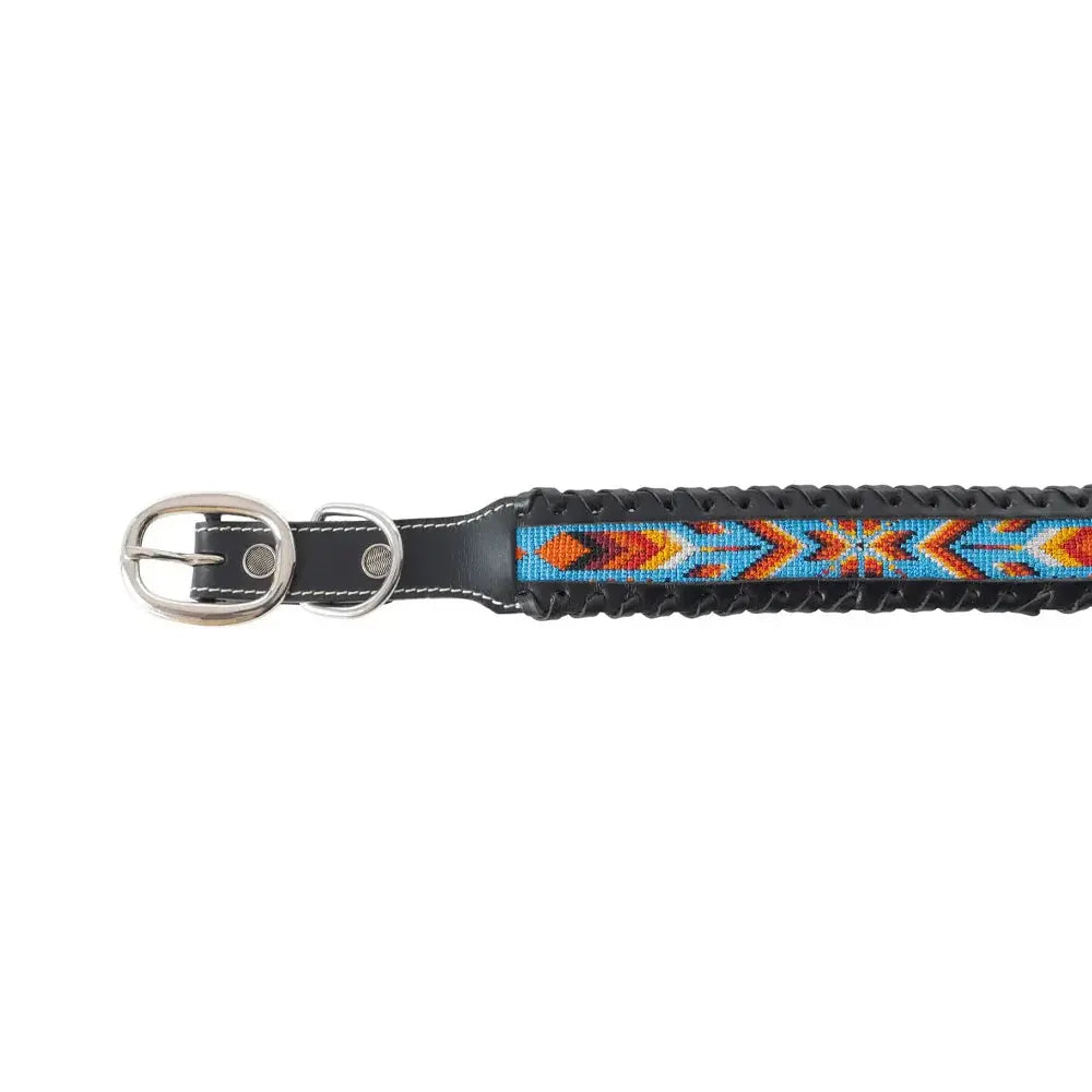 Running Wind Dog Collar In Black Dog
