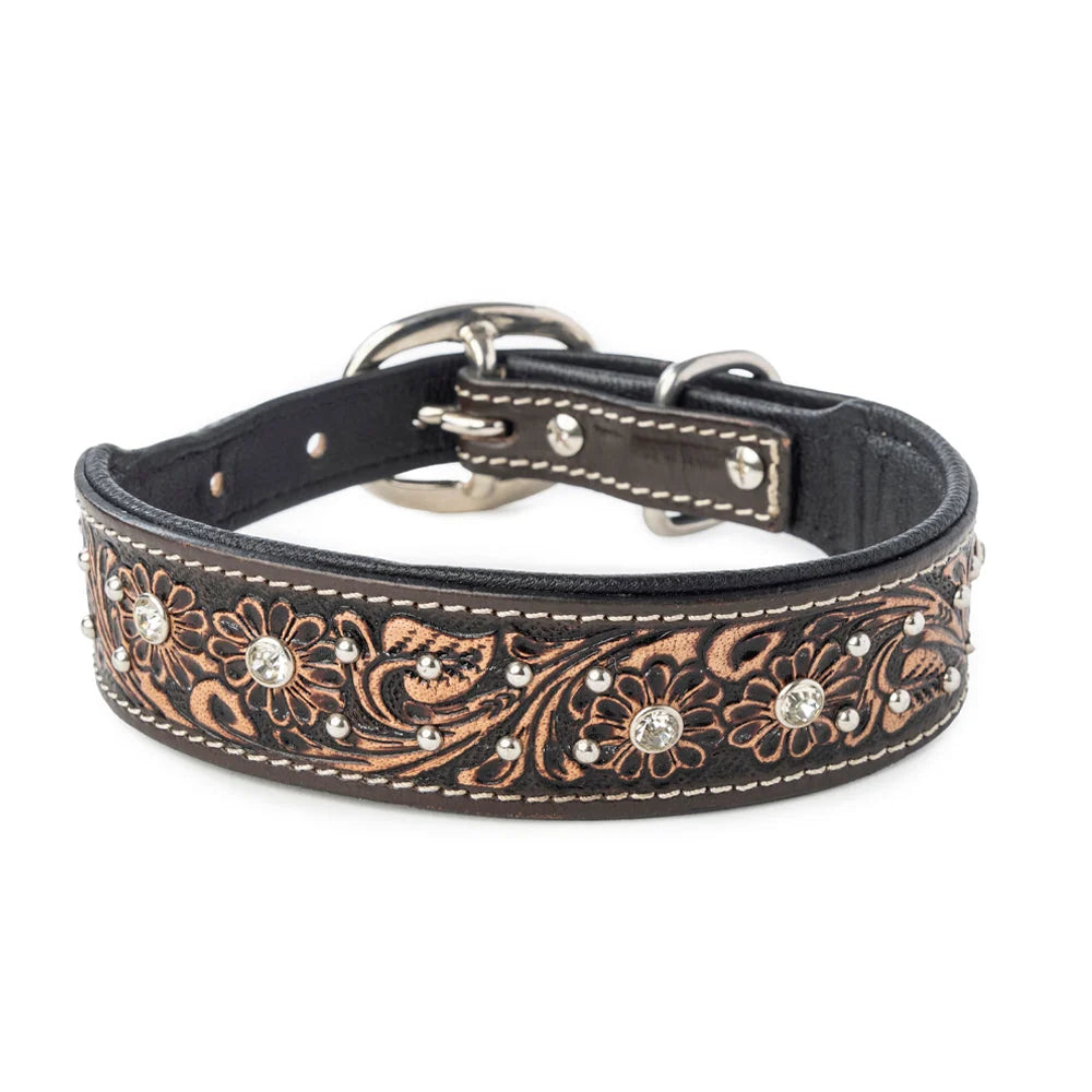 Midnight Canine Elegance Western Dog Collar In Black