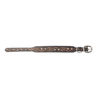 Midnight Canine Elegance Western Dog Collar In Black